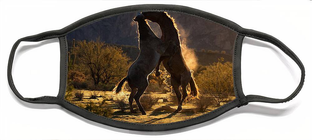 Mustang Face Mask featuring the photograph Stallion Dance by Lisa Manifold