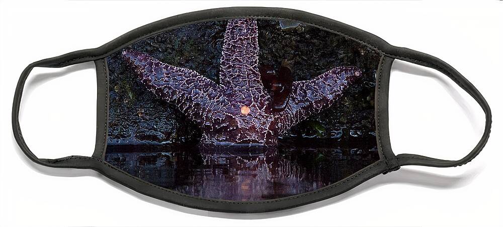 Sea Star Face Mask featuring the photograph Star Light by Patrick Nowotny