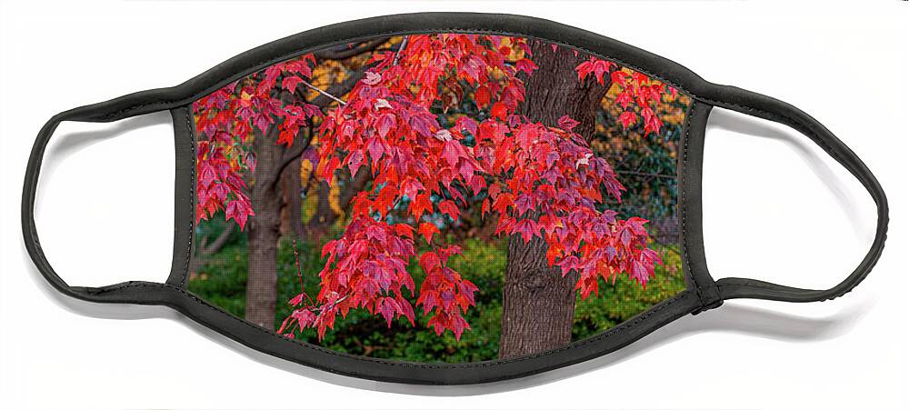 Autumn Face Mask featuring the photograph State Capital Grounds - Autumn Colors by Dale Powell