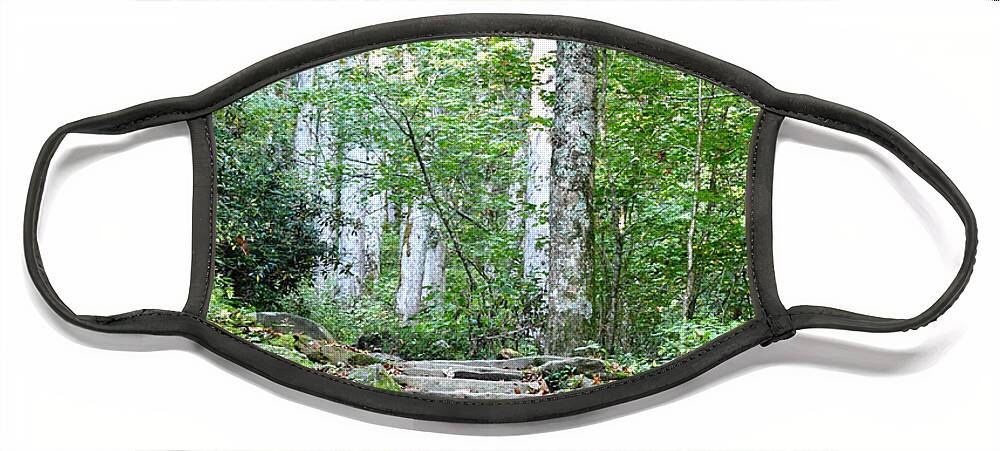 Tennessee Face Mask featuring the photograph Steps Up Into The Forest 1 by Phil Perkins