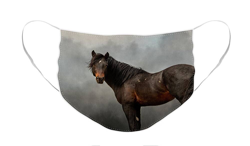 Horses Face Mask featuring the photograph Stormy by Mary Hone