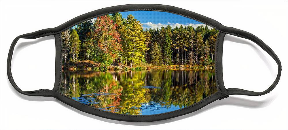 Allegheny Plateau Face Mask featuring the photograph Stuckys Pond by Michael Gadomski