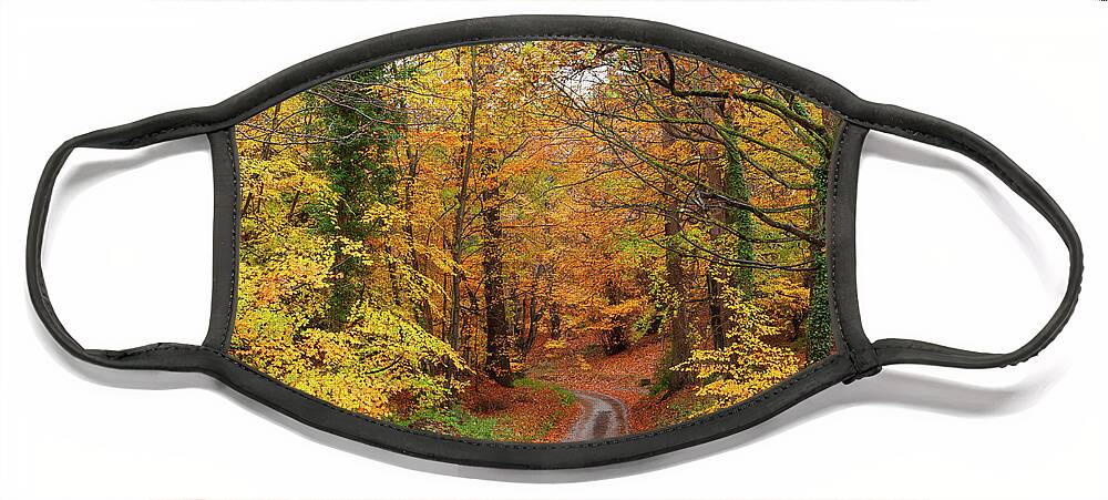 Autumn Face Mask featuring the photograph Stunning English autumn forest colours with path by Simon Bratt