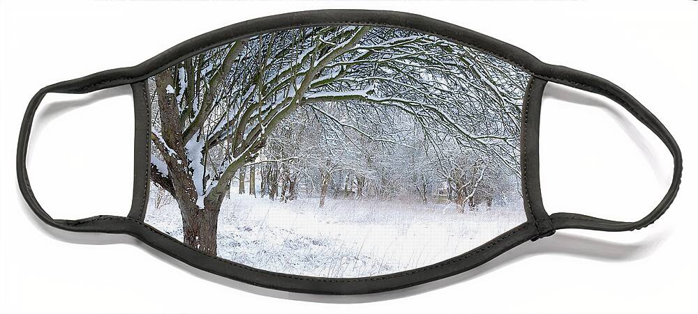 Norfolk Face Mask featuring the photograph Stunning forest snow winter scene by Simon Bratt