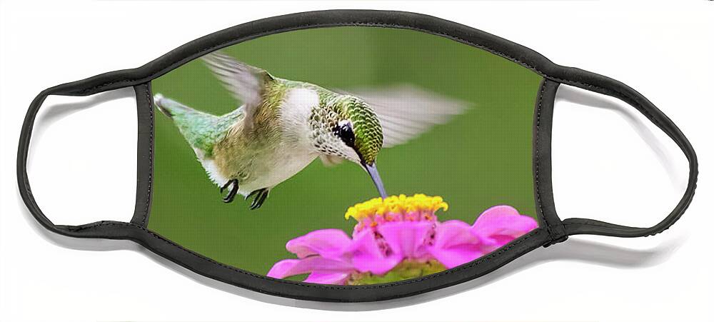 Hummingbird Face Mask featuring the photograph Summer Breeze by Christina Rollo