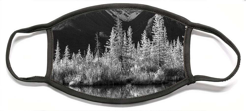 Disk1215 Face Mask featuring the photograph Sundance Range Above Vermilion Lakes by Tim Fitzharris