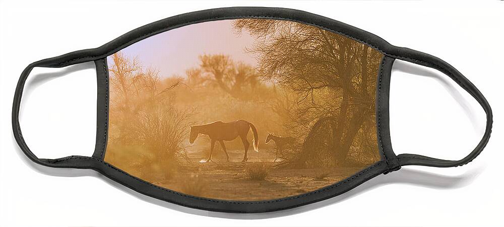Cute Face Mask featuring the photograph Sunrise Walk by Shannon Hastings