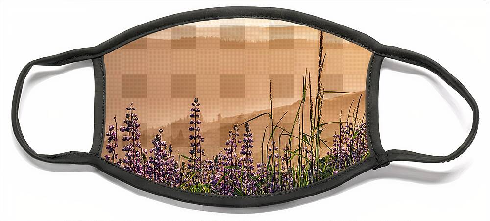 California Face Mask featuring the photograph Sunset Among the Lupine by Laura Roberts