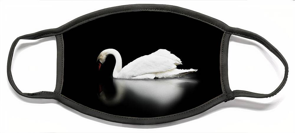 Swan Face Mask featuring the photograph Swan by Scott Meyer