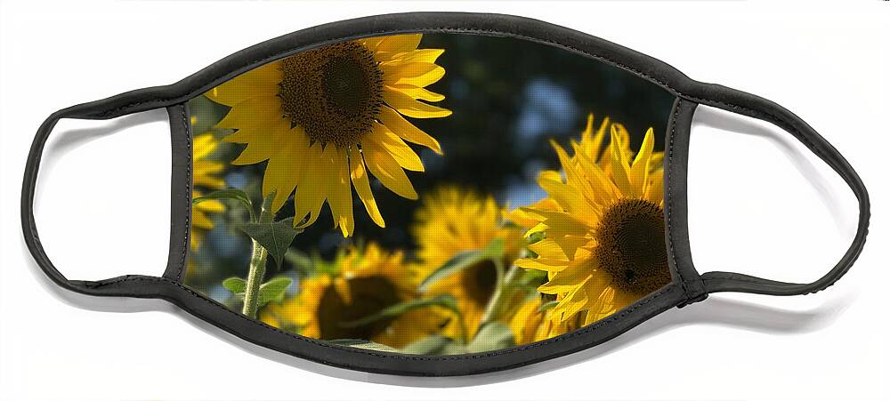 Sunflowers Face Mask featuring the photograph Sweet Sunflowers by Lora J Wilson