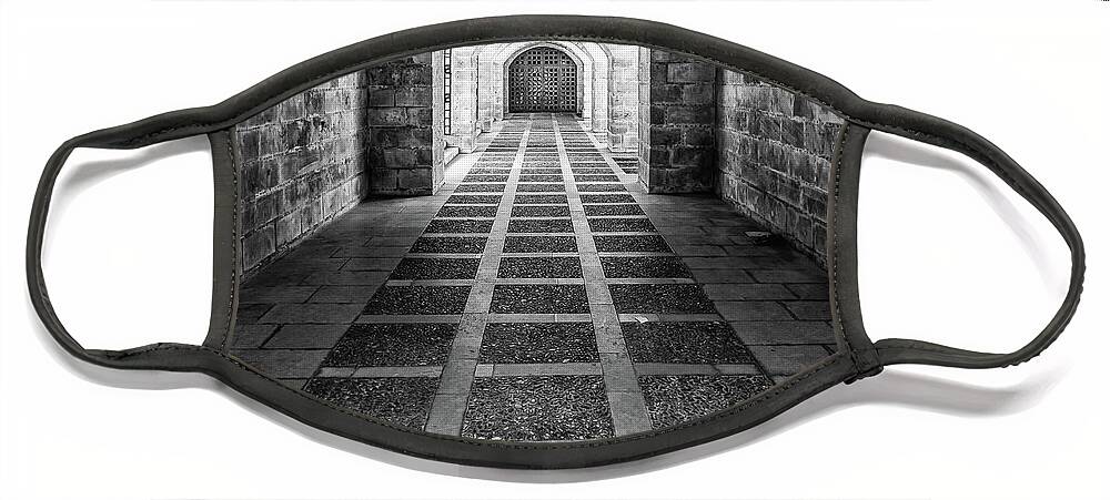Brick Face Mask featuring the photograph Symmetry in black and white by Lyl Dil Creations
