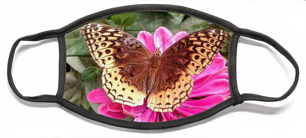 Butterfly Face Mask featuring the photograph Taking A Moment To Rest by Allen Nice-Webb