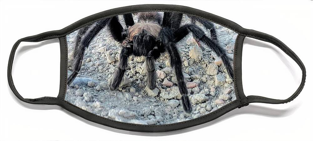 Nature Face Mask featuring the photograph Tarantula by Misty Morehead