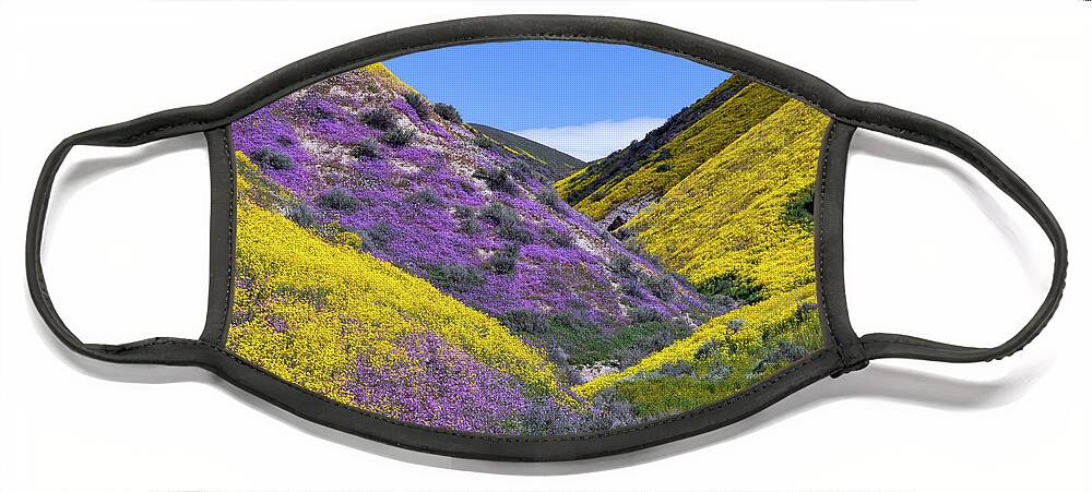 Carrizo Face Mask featuring the photograph Temblor Range Wildflowers 3 by Rick Pisio