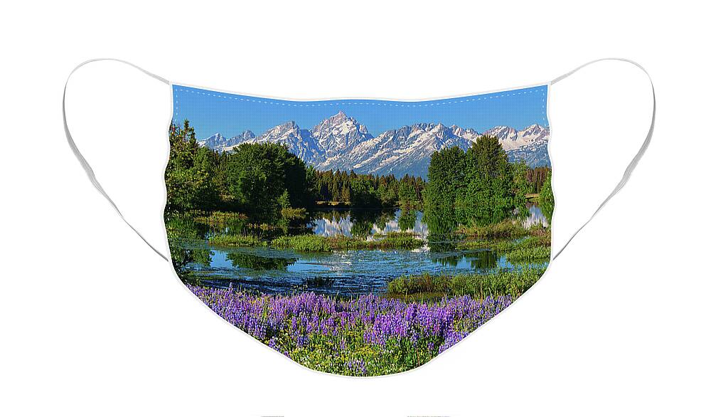 Grand Teton National Park Face Mask featuring the photograph Tetons and Lupines by Greg Norrell