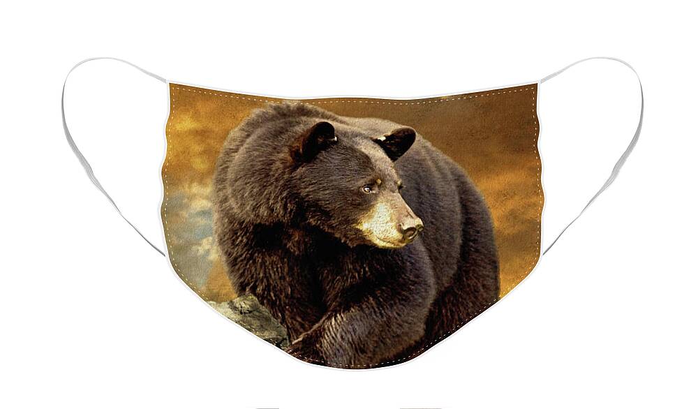 Bear Face Mask featuring the photograph The Bear Went Over The Mountain by Lois Bryan