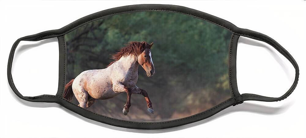 Salt River Wild Horse Face Mask featuring the photograph The Jump by Shannon Hastings