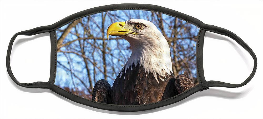 Eagle Face Mask featuring the photograph The Look by Laura Hedien