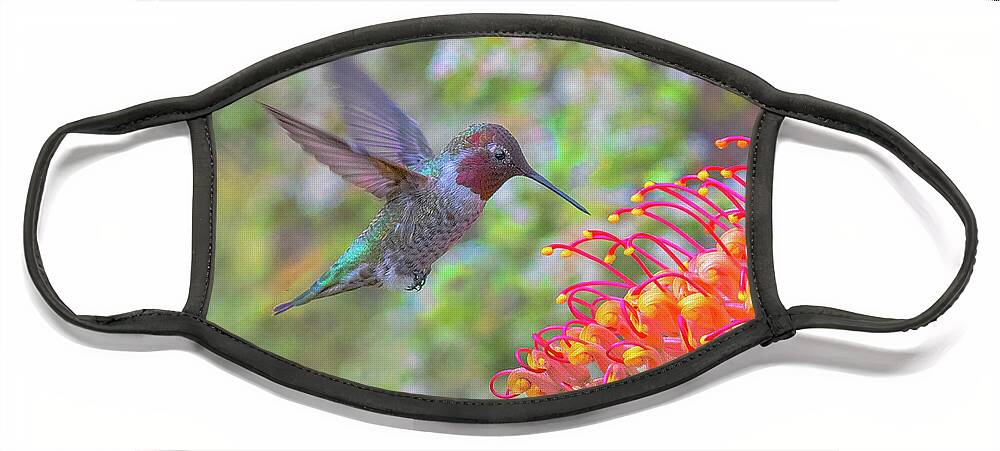 Hummingbird Face Mask featuring the photograph Face Mask Through the window by Patricia Dennis