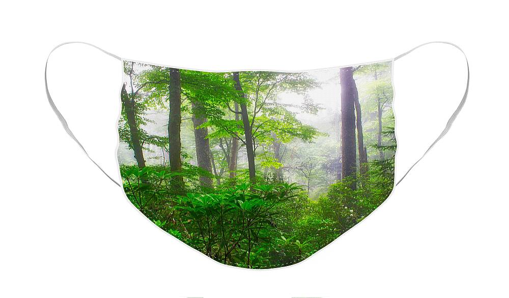 Art Prints Face Mask featuring the photograph Ramsey Cascade Trail by Nunweiler Photography