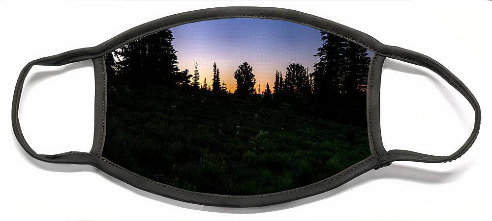 Tree Face Mask featuring the photograph Tree Silhouette Sunrise 2 by Pelo Blanco Photo