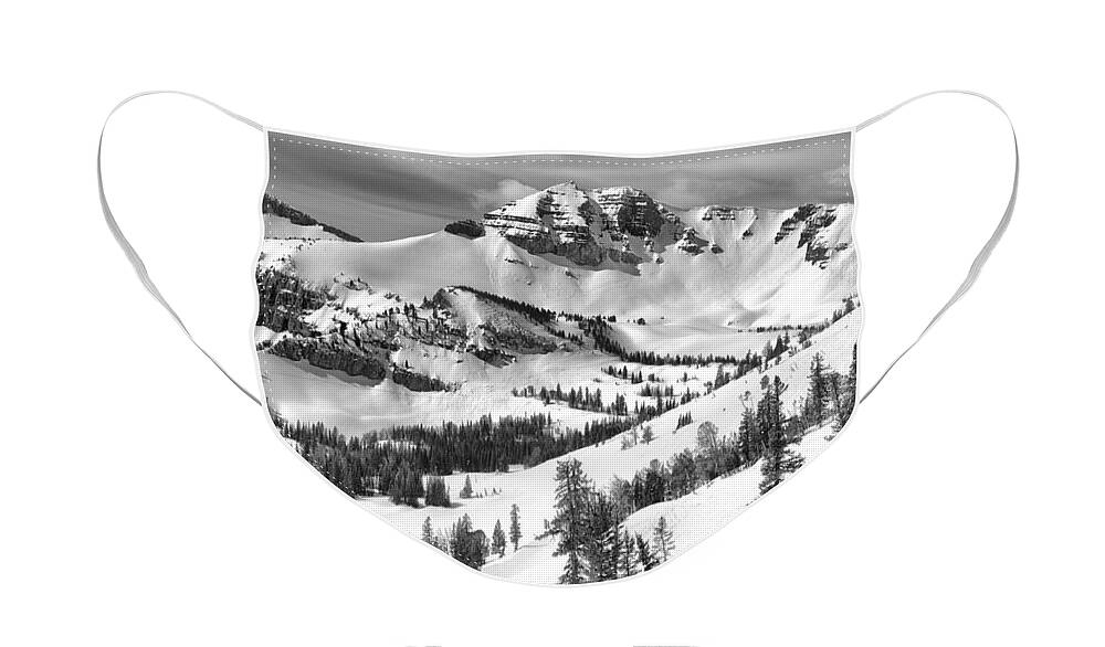 Rendezvous Bowl Face Mask featuring the photograph Trees At Rendezvous Peak Black And White by Adam Jewell