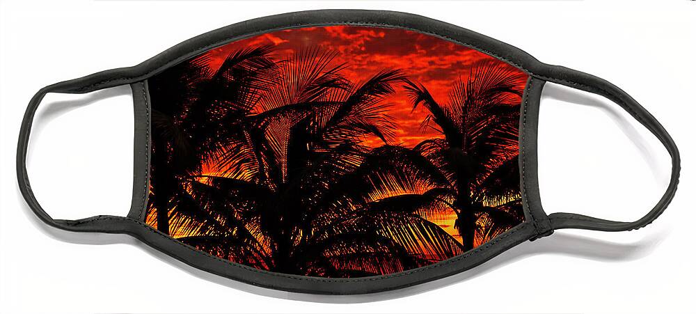Lighthouse Cove Resort Face Mask featuring the photograph Tropical Sunrise by Meta Gatschenberger