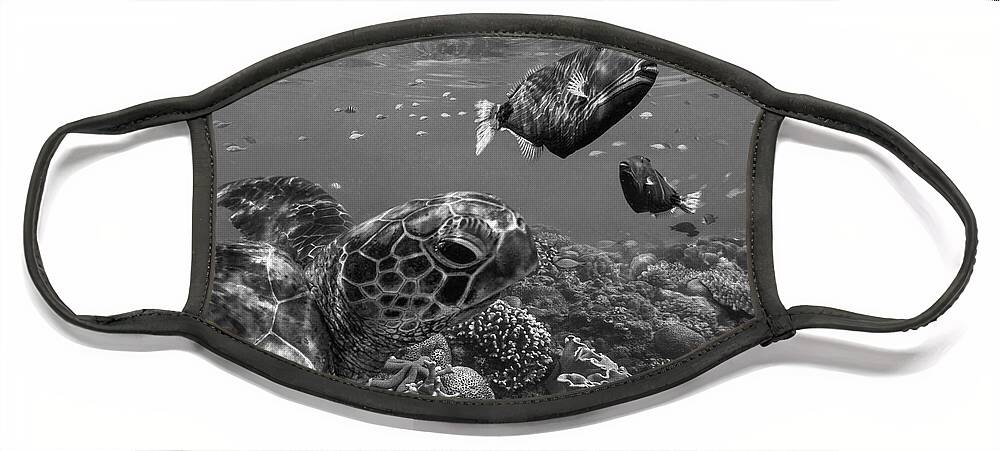 Disk1215 Face Mask featuring the photograph Turtle And Triggerfish by Tim Fitzharris