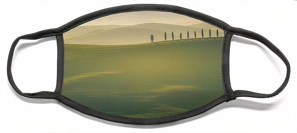 Landscape Face Mask featuring the photograph Tuscany Landscape with Cypress Trees by Heiko Koehrer-Wagner