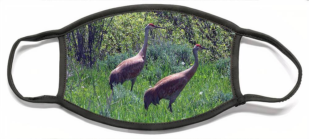 Sandhill Crane Face Mask featuring the photograph Two of a Kind by Dorrene BrownButterfield