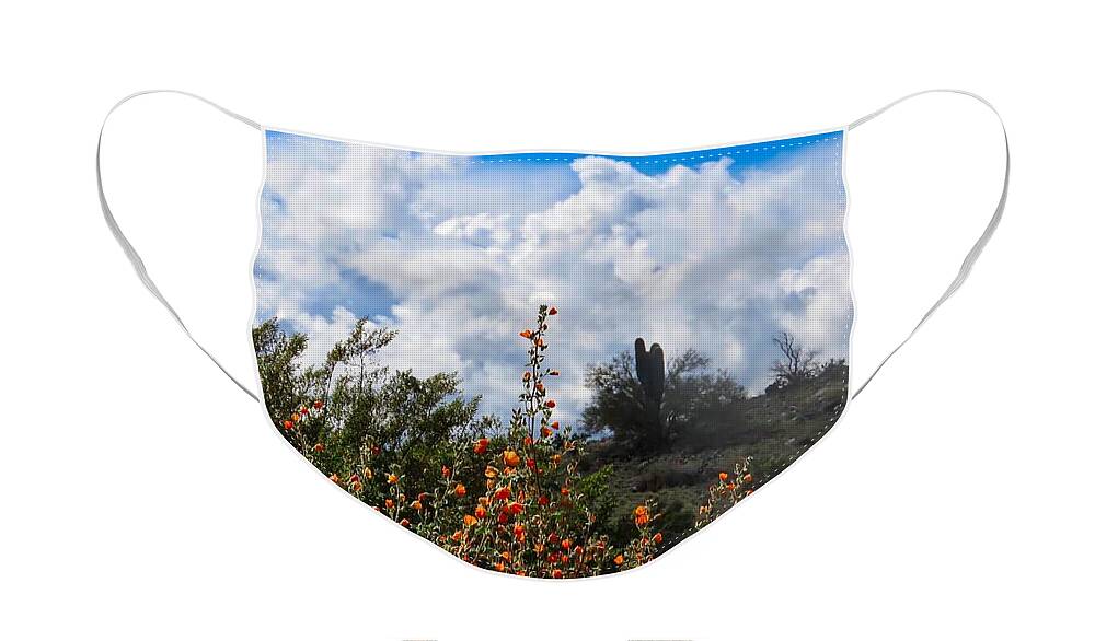 Arizona Face Mask featuring the photograph Under a White Fluffy Cloud by Judy Kennedy