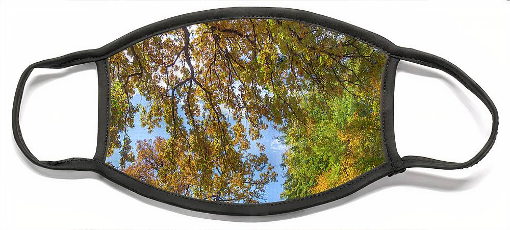 00544890 Face Mask featuring the photograph Autumn Lake and Trees by Tim Fitzharris
