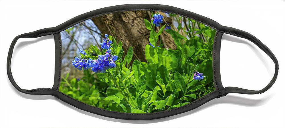 Virginia Bluebells Face Mask featuring the photograph Bluebells by Dale R Carlson