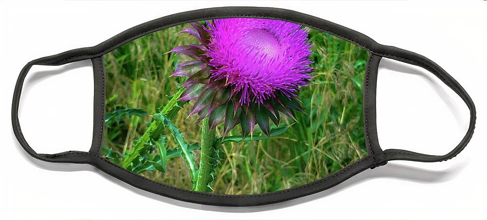 Thistle Face Mask featuring the photograph Wanna Be in Scotland by Lora J Wilson