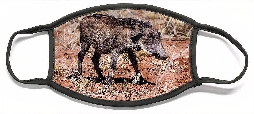 Warthog Face Mask featuring the photograph Warthog, Namibia by Lyl Dil Creations