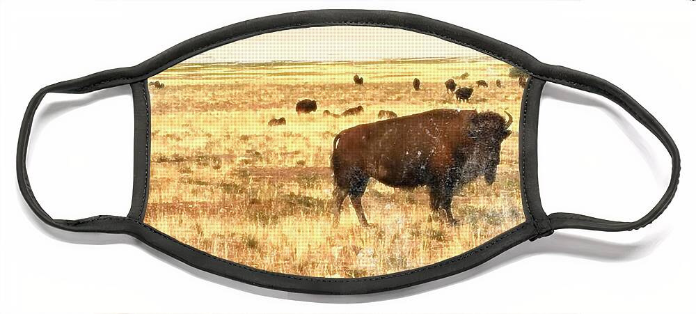 Buffalo Face Mask featuring the painting Where the Buffalo Roam by Kathy Strauss