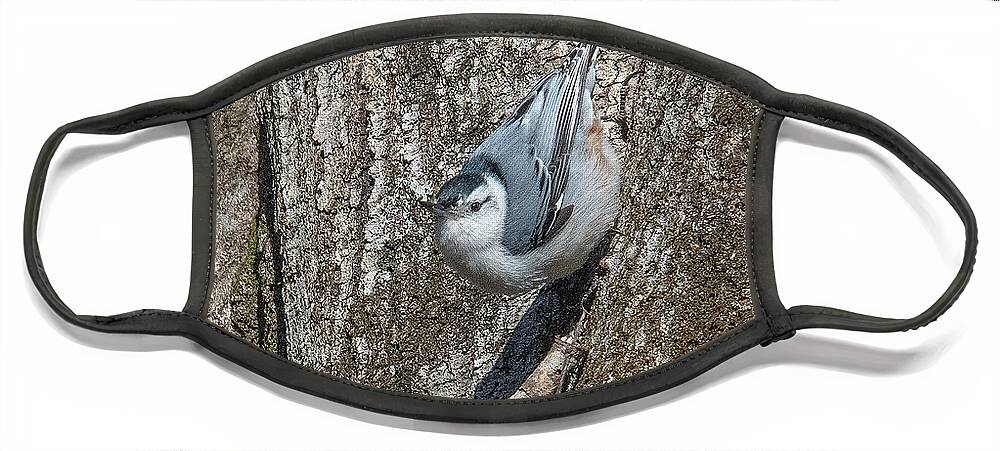 Nature Face Mask featuring the photograph White-breasted Nuthatch DSB0336 by Gerry Gantt