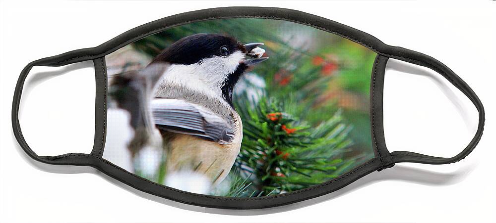 Bird Face Mask featuring the photograph Winter Chickadee With Seed by Christina Rollo