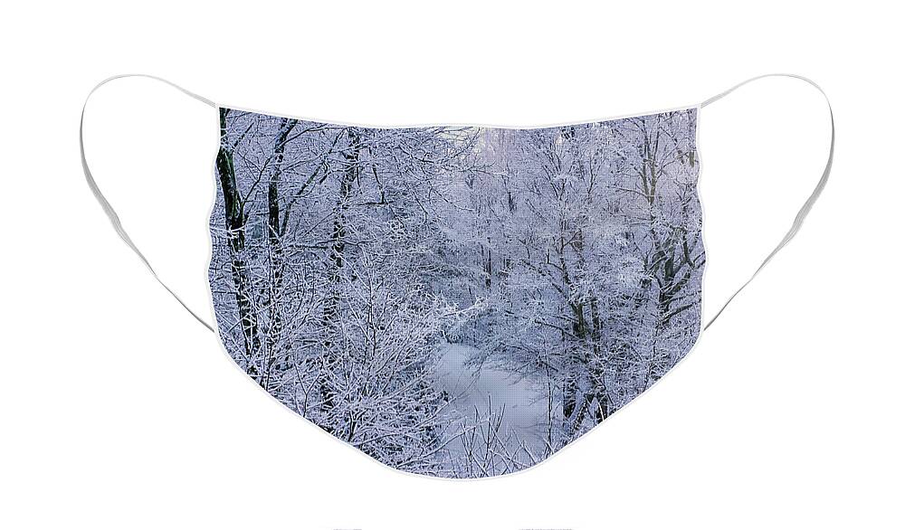 Winter Face Mask featuring the photograph Winter Ice Storm by Meta Gatschenberger