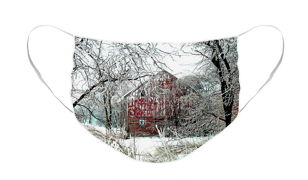 Christmas Face Mask featuring the photograph Winter Wonderland by Julie Hamilton