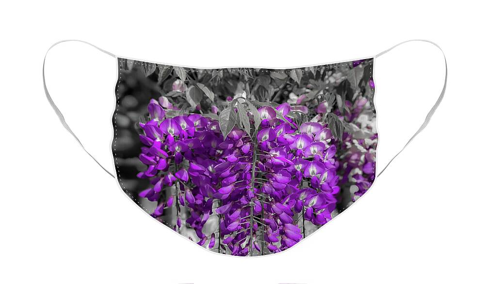 Wisteria Face Mask featuring the photograph Wisteria Falling by Lora J Wilson