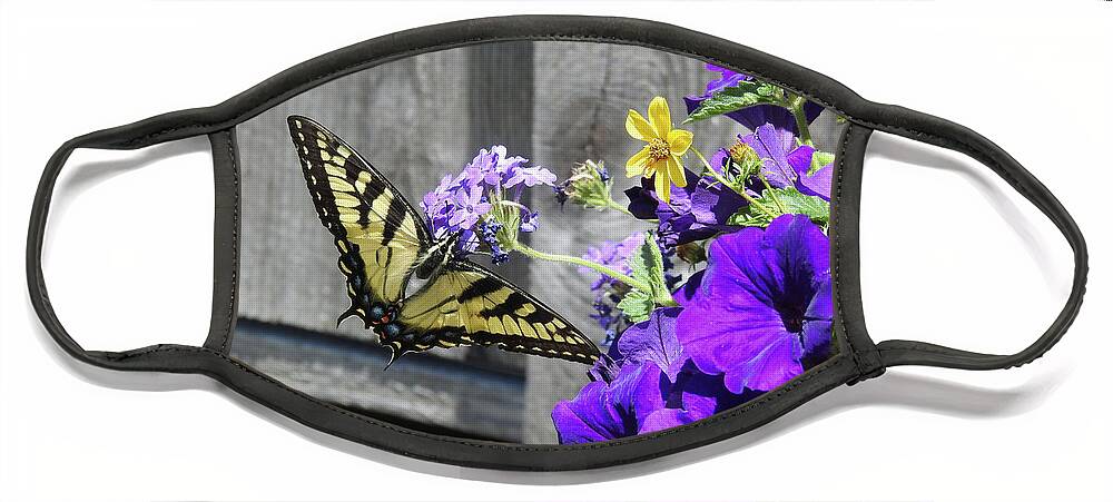 Butterfly Face Mask featuring the photograph Yellow Butterfly by Kathy Ozzard Chism