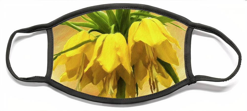 Nature Face Mask featuring the photograph Yellow Crown Imperial Lily by Leslie Montgomery
