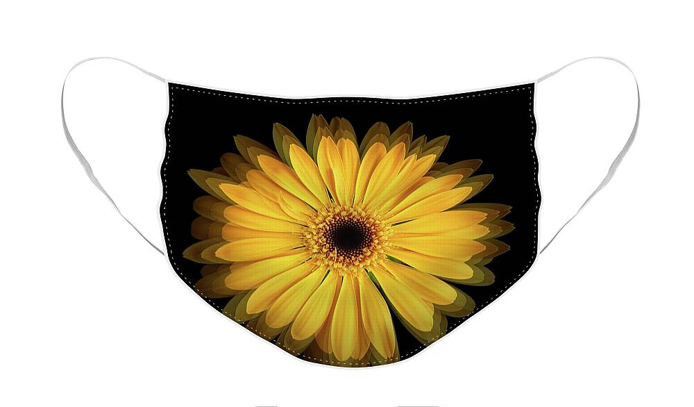 Gerbera Face Mask featuring the photograph Yellow Gerbera Daisy Repetitions by Bill Swartwout