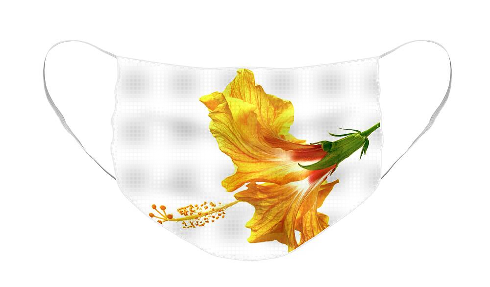 Hibiscus Face Mask featuring the photograph Yellow Hibiscus by Christopher Johnson
