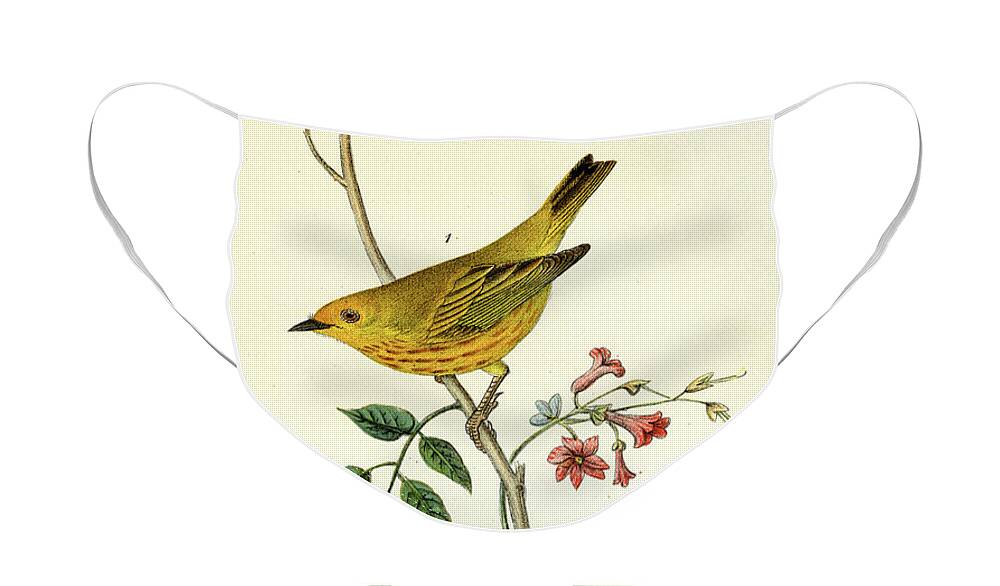Bird Face Mask featuring the mixed media Yellow Warbler by Unknown