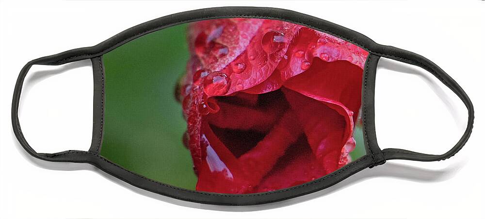 Hibiscus Face Mask featuring the photograph After the Rain #1 by M Kathleen Warren