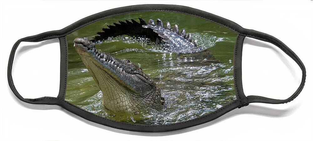 Crocodile Face Mask featuring the photograph American Crocodile #2 by Carolyn Hutchins