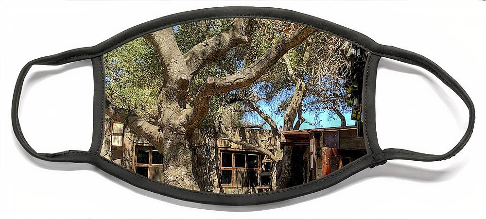 Valle De Guadalupe Face Mask featuring the photograph Among the Oaks by William Scott Koenig