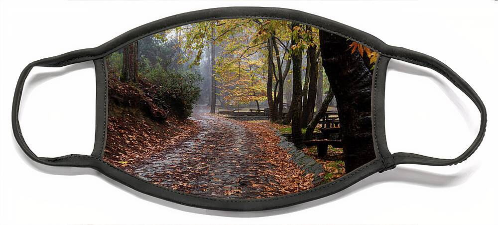 Autumn Face Mask featuring the photograph Autumn landscape with trees and Autumn leaves on the ground after rain by Michalakis Ppalis